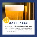 【黄桜】クラフトビール 「悪魔のビール レッドセッションIPA」（350ml缶×24本）