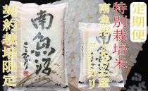 ※定期便：6Kg×6ヶ月※特別栽培 生産者限定  南魚沼しおざわ産コシヒカリ