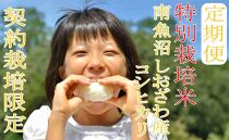【令和7年産】※定期便：10Kg×6ヶ月※特別栽培&nbsp;生産者限定&nbsp;&nbsp;南魚沼しおざわ産コシヒカリ【2025年10月上旬より順次発送予定】