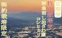【令和7年産】※定期便：20Kg×12ヶ月※特別栽培&nbsp;生産者限定&nbsp;&nbsp;南魚沼しおざわ産コシヒカリ【2025年10月上旬より順次発送予定】