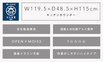 （ブラウン）【開梱設置】 スパーク キッチンカウンター 幅120cm キッチン収納 レンジ台 完成品 大型レンジ対応 完成品幅 スライド 大川家具