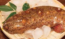 <周防大島産>天然活赤なまこ 2kg
