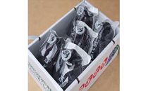 【期間限定】豊岡ブドウ ピオーネ 2kg
