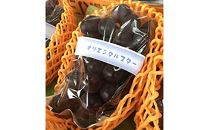 【数量限定150】オリエンタルスター1.5kg