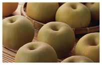 【数量限定200】王秋梨 5kg