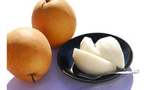 【数量限定50】京丹後産 愛宕梨 2kg