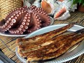 秘伝タレ！瀬戸内の新鮮焼き穴子(L)とゆでだこ(L)のセット【ポイント交換専用】