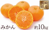 長崎県産 みかん 約10kg 【2018年12月より順次発送開始】