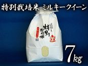 特別栽培米 ミルキークイーン