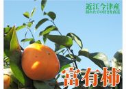 ◆【2018年産・旬の発送予約】 近江今津の富有柿 2L 4kg 1箱 12玉<生産者直売一貫体制>