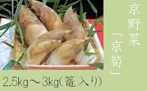 京野菜「京筍」採れ採れ発送