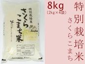あきたこまち「特別栽培米さくらこまち8kg」中仙さくらファーム