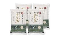コウノトリ育むお米無農薬【5kg×4袋】(94-002)