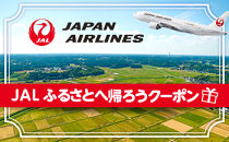 【豊見城市】JAL ふるさとへ帰ろうクーポン(30,000点分)