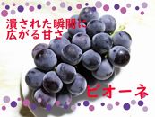 口の中で弾ける甘さ、喉を通るしっとり感、ピオーネ2kg