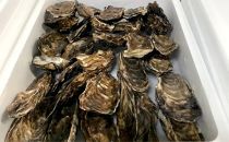 生牡蠣 特大サイズ 約2.8kg(20個入)