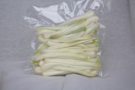 島らっきょう(500g)
