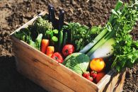 ≪ポイント交換専用≫愛たい菜旬の野菜詰合せA（6種類以上）