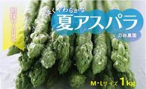 刀祢農園 朝採り当日発送「淡く柔らかな 夏アスパラ」M~Lサイズ 1kg