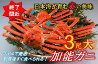 加能ガニ大（ずわいがに）3尾（ボイル）【漁獲次第発送】