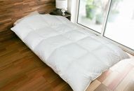 【ポイント交換専用】羽毛ふとん（純銀糸入、抗菌力で細菌の繁殖をシャット・アウト）　Silver Clean (シルバークリーン）　シングル（150ｃｍ×210ｃｍ）
