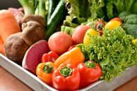 ≪ポイント交換専用≫【有機JAS認定オーガニック】シェフの目線「大洲の旬野菜詰合せ」半年パスポート