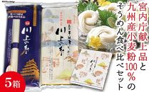 【ポイント交換専用】【川上製麺】島原手延べそうめん2種詰合せ×5箱/宮内庁献上品・九州産小麦粉