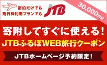 【南国市】JTBふるぽWEB旅行クーポン（30,000円分）