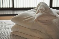 ≪ポイント交換専用≫【大洲産国産繭100％使用】近江真綿布団正絹富士絹　　無地白色 クィーン