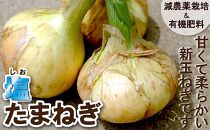 【ポイント交換専用】＜限定＞（小玉）柔らかくて甘い！「塩玉ねぎ（新玉ねぎ）」約5kg　※2021年3月中旬～2021年6月下旬頃発送（予定）