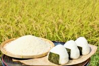 【ポイント交換専用】【毎月お届け】森のくまさん　精米　5.5kg＜定期便6ヶ月コース＞（上益城農業協同組合）