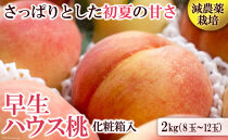 【ポイント交換専用】南島原の特別栽培ハウス桃 「約2kg（1kg×2箱）」化粧箱