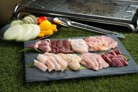 鮮度抜群でレア部位も含む6種入り、鶏肉専門店の「焼肉BBQセット（みはら神明鶏）」【ポイント交換専用】