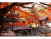 【三原市】JTBふるぽWEB旅行クーポン（3,000円分）【ポイント交換専用】