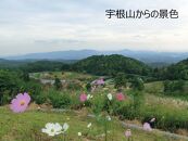 【三原市】JTBふるぽWEB旅行クーポン（3,000円分）【ポイント交換専用】