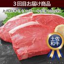 定期便 肉 お楽しみ 牛肉 豚肉 南国土佐のスーパーバリュー6ヶ月コース＜高知市共通返礼品＞