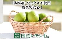 【ポイント交換専用】【特別栽培・減農薬】国産レモン  1kg