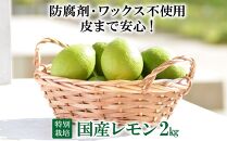 【ポイント交換専用】【特別栽培・減農薬】国産レモン  2kg