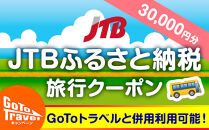 【下田市】JTBふるさと納税旅行クーポン（30,000円分）