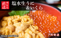 イカ タコ ウニ のお礼の品一覧 Jtbのふるさと納税サイト ふるぽ