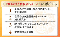 【三原市】JTBふるさと納税旅行クーポン（30,000円分）【ポイント交換専用】