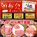 定期便 肉 お楽しみ 南国土佐のお肉満腹３ヶ月コース