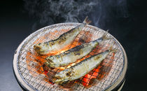 入梅いわしの丸干し 12尾
