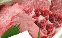 大田原牛 極上霜降り肉と濃厚赤身肉のお任せ焼肉詰め合わせ(500g)